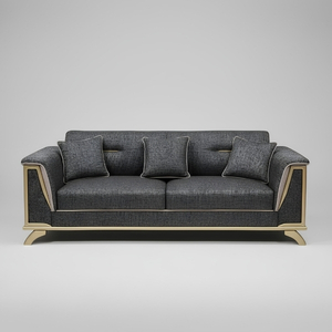 Sofa with Metallic Frame Trim